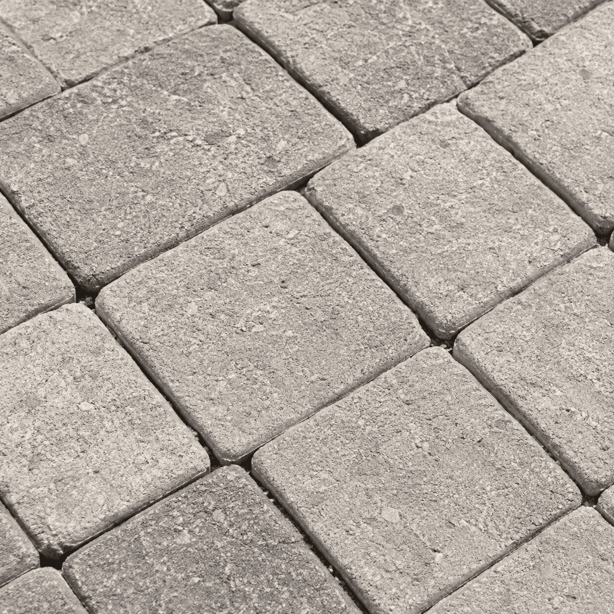 Paver Repair